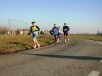 maratona_reggio_124.jpg