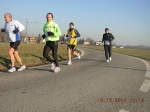 maratona_reggio_617.jpg