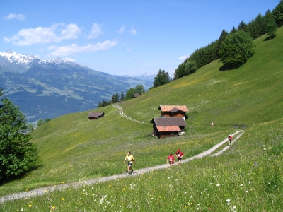 Clicca per vedere l'immagine alla massima grandezza