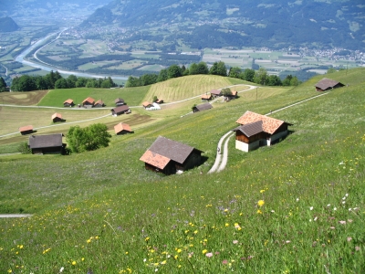 Clicca per vedere l'immagine alla massima grandezza