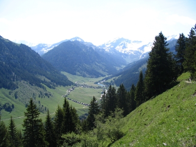 Clicca per vedere l'immagine alla massima grandezza