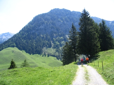 Clicca per vedere l'immagine alla massima grandezza