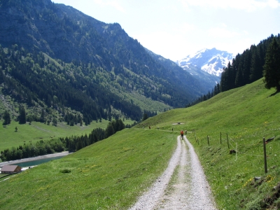 Clicca per vedere l'immagine alla massima grandezza