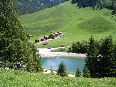 Clicca per vedere l'immagine alla massima grandezza
