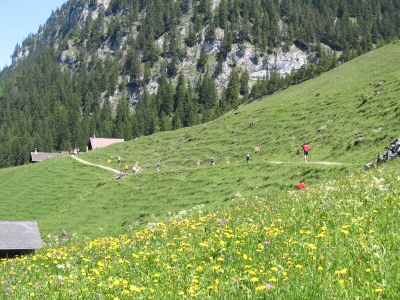 Clicca per vedere l'immagine alla massima grandezza