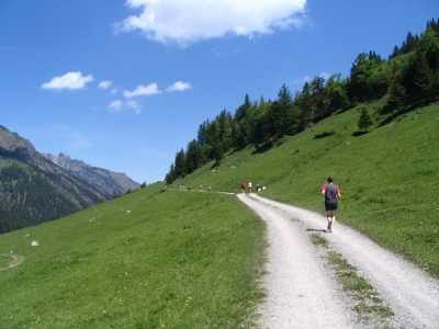 Clicca per vedere l'immagine alla massima grandezza