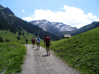 Clicca per vedere l'immagine alla massima grandezza