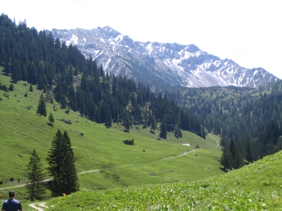 Clicca per vedere l'immagine alla massima grandezza