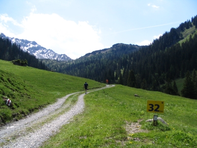 Clicca per vedere l'immagine alla massima grandezza