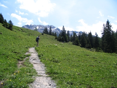 Clicca per vedere l'immagine alla massima grandezza