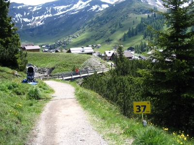 Clicca per vedere l'immagine alla massima grandezza