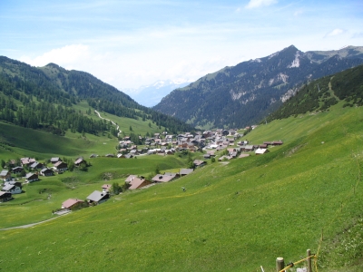 Clicca per vedere l'immagine alla massima grandezza