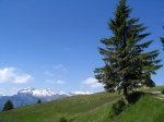 Nome del file=043.jpg
Dimensione del file=550KiB
Dimensioni=1600x1200
Aggiunta il=20 Giu 2005 043.jpg