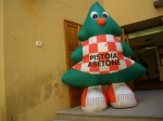 12.JPG