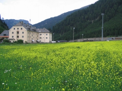 Clicca per vedere l'immagine alla massima grandezza