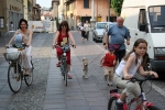 29-5-05-Corsa.P.L.Vita110.jpg