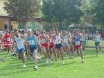 fellegara 013.jpg
