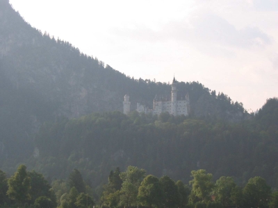 Clicca per vedere l'immagine alla massima grandezza