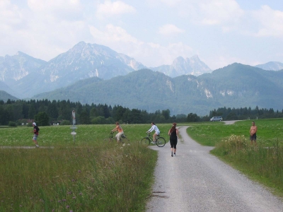 Clicca per vedere l'immagine alla massima grandezza