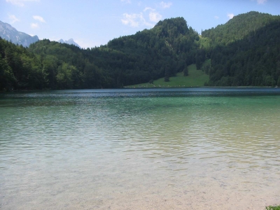 Clicca per vedere l'immagine alla massima grandezza