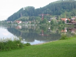 050.JPG