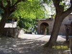 100_1996.JPG