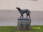 100_2020.JPG