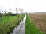 Immagine 192.jpg