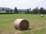Immagine 157.jpg