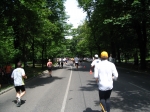 Immagine 208.jpg