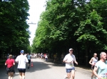 Immagine 228.jpg