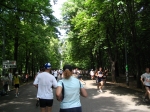 Immagine 229.jpg