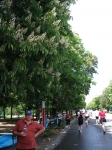 Immagine 237.jpg