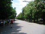 Immagine 240.jpg