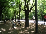 Immagine 313.jpg