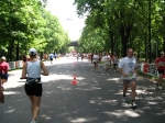 Immagine 351.jpg
