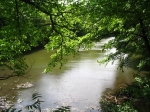 Immagine 366.jpg