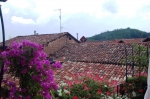 alba_tourlanghe_11.6_0037.jpg