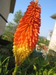 murazzano_tourlanghe_15.7_0072.jpg