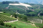 barbaresco_tourlanghe_14.7_0049.jpg