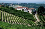 barbaresco_tourlanghe_14.7_0052.jpg