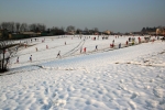 04-02-06-BrianzoloBriosco277.jpg