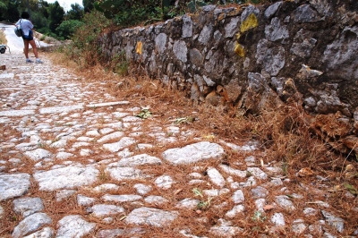 Clicca per vedere l'immagine alla massima grandezza