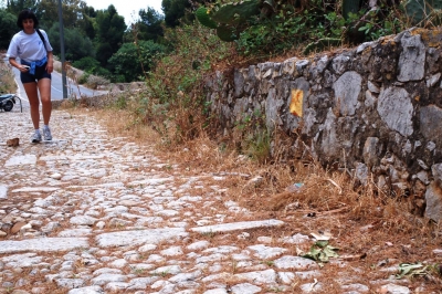 Clicca per vedere l'immagine alla massima grandezza