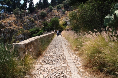 Clicca per vedere l'immagine alla massima grandezza