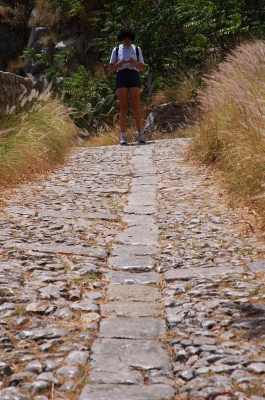 Clicca per vedere l'immagine alla massima grandezza