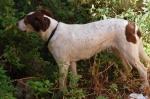 pellegrino_paola_06_0010.jpg