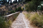 pellegrino_paola_06_0069.jpg