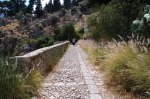 pellegrino_paola_06_0070.jpg