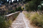 pellegrino_paola_06_0072.jpg